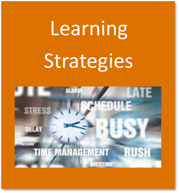 Learning strategies button containing a clock denoting time management